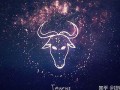 金牛座男生的性格(金牛座男生的性格脾气及弱点)